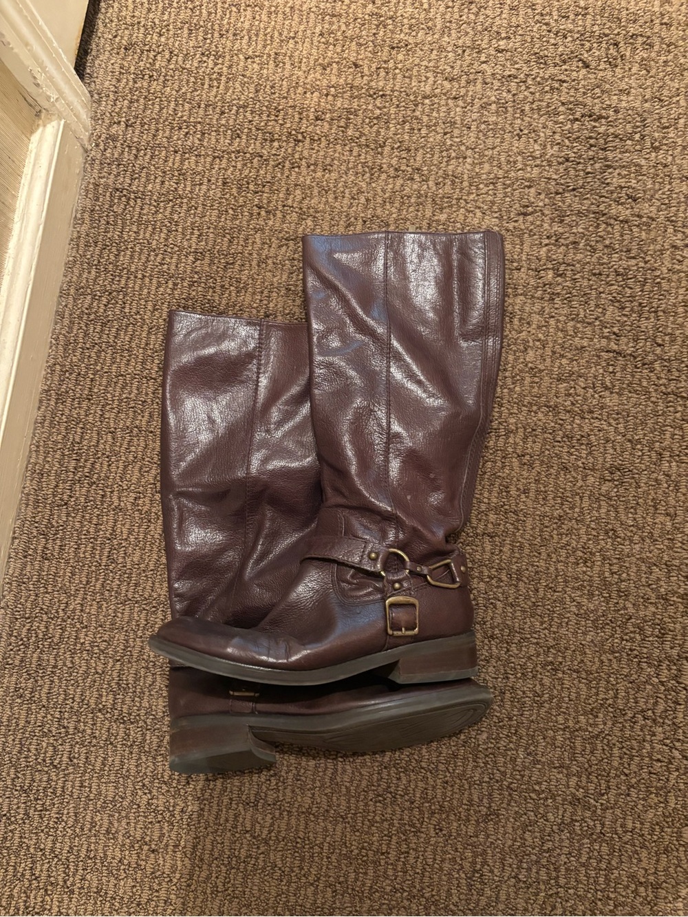 Enzo Angiolini Dark Brown Leather Riding Boots with Buckle Detail